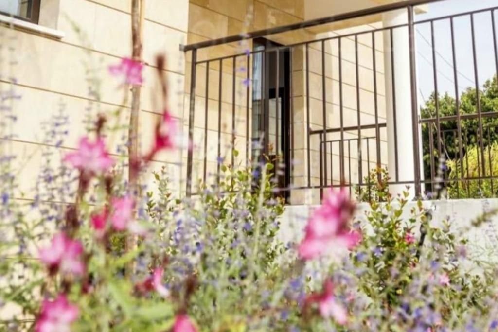 Epicurian Residence Nikosia Bagian luar foto
